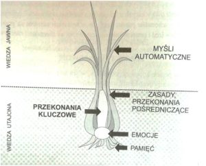 Cebulograf. A.Popiel, E.Pragłowska